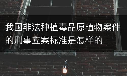 我国非法种植毒品原植物案件的刑事立案标准是怎样的