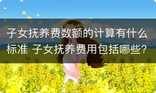 子女抚养费数额的计算有什么标准 子女抚养费用包括哪些?如何计算?