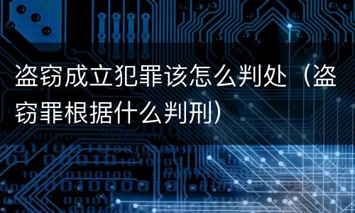 盗窃成立犯罪该怎么判处（盗窃罪根据什么判刑）