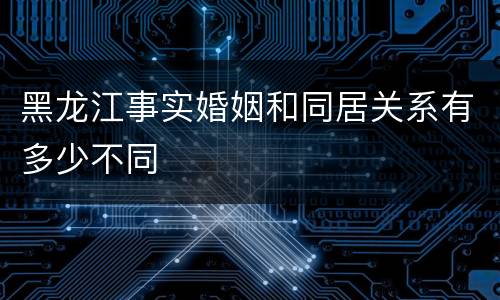 黑龙江事实婚姻和同居关系有多少不同