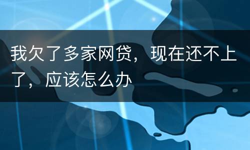 我欠了多家网贷，现在还不上了，应该怎么办