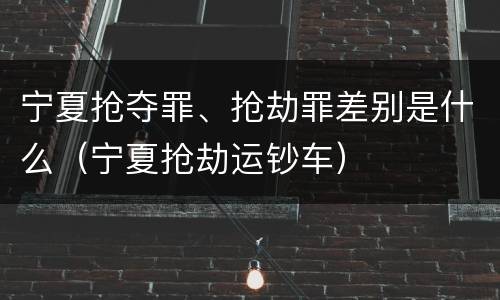 宁夏抢夺罪、抢劫罪差别是什么（宁夏抢劫运钞车）