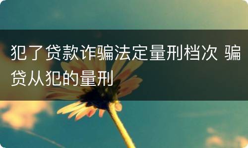 犯了贷款诈骗法定量刑档次 骗贷从犯的量刑