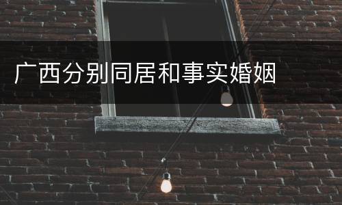 广西分别同居和事实婚姻