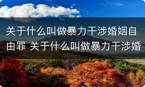 关于什么叫做暴力干涉婚姻自由罪 关于什么叫做暴力干涉婚姻自由罪的判决