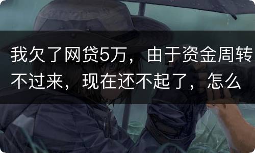 我欠了网贷5万，由于资金周转不过来，现在还不起了，怎么办