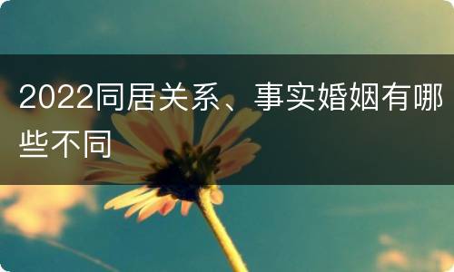 2022同居关系、事实婚姻有哪些不同