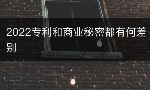 2022专利和商业秘密都有何差别