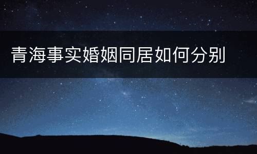 青海事实婚姻同居如何分别
