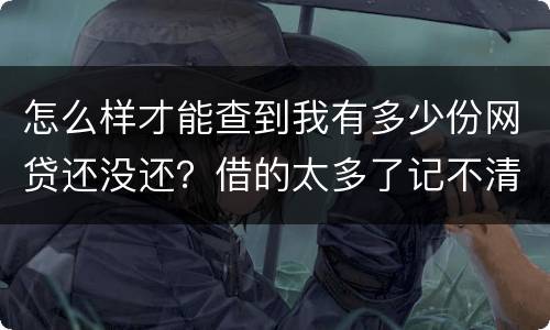 怎么样才能查到我有多少份网贷还没还？借的太多了记不清了