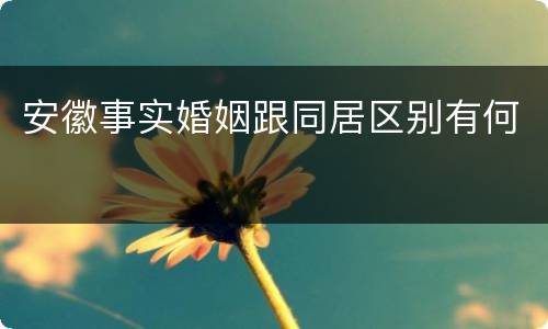 安徽事实婚姻跟同居区别有何
