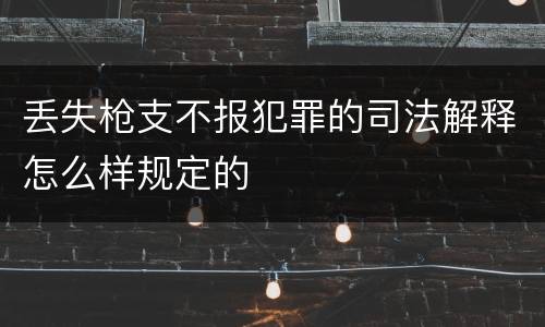 丢失枪支不报犯罪的司法解释怎么样规定的