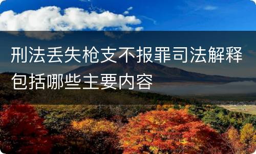 刑法丢失枪支不报罪司法解释包括哪些主要内容