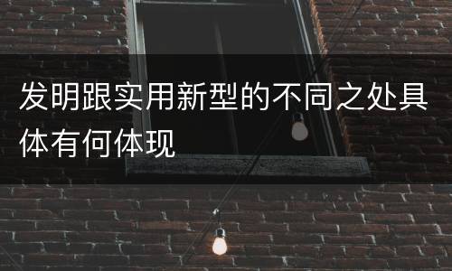发明跟实用新型的不同之处具体有何体现