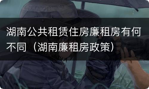 湖南公共租赁住房廉租房有何不同（湖南廉租房政策）