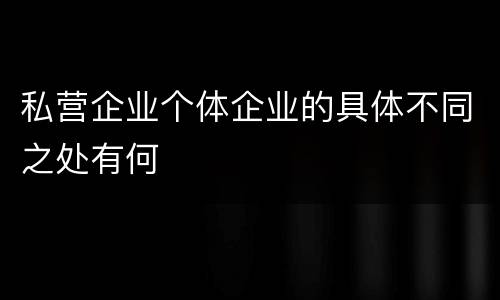 私营企业个体企业的具体不同之处有何