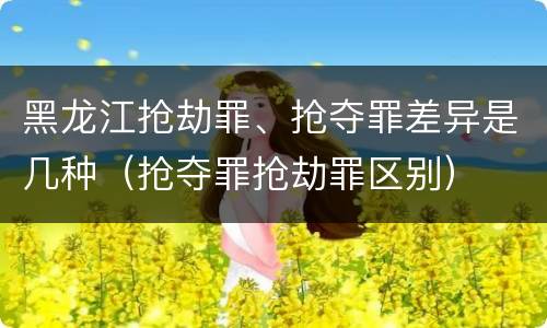 黑龙江抢劫罪、抢夺罪差异是几种（抢夺罪抢劫罪区别）