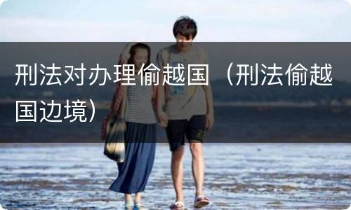 刑法对办理偷越国（刑法偷越国边境）