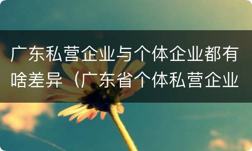 广东私营企业与个体企业都有啥差异（广东省个体私营企业）