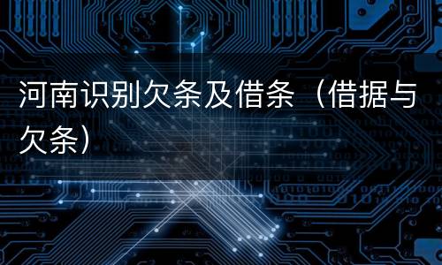 河南识别欠条及借条（借据与欠条）