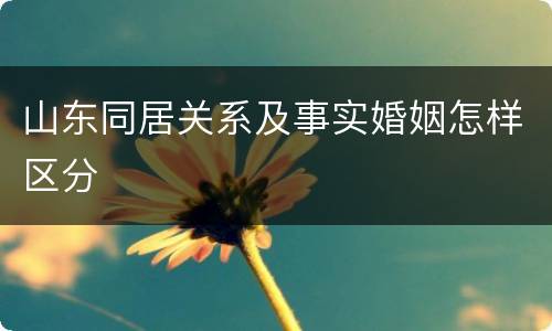 山东同居关系及事实婚姻怎样区分