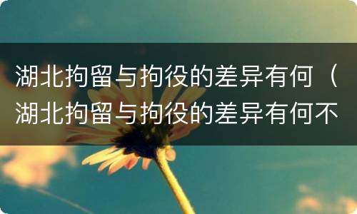湖北拘留与拘役的差异有何（湖北拘留与拘役的差异有何不同）