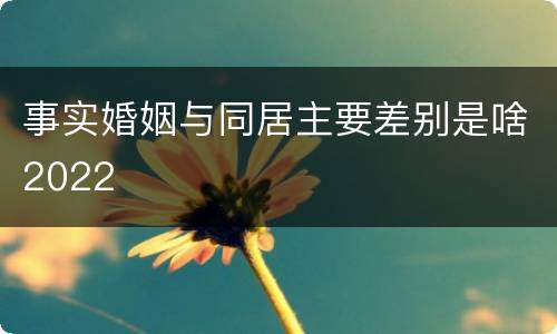 事实婚姻与同居主要差别是啥2022