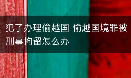 犯了办理偷越国 偷越国境罪被刑事拘留怎么办