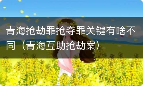 青海抢劫罪抢夺罪关键有啥不同（青海互助抢劫案）