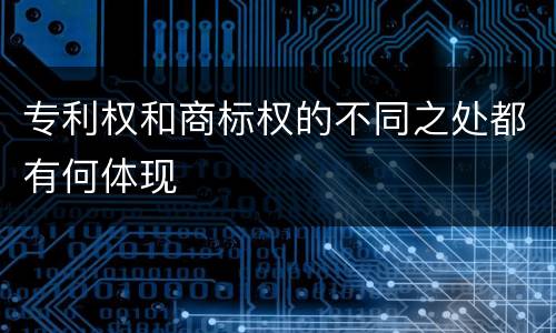 专利权和商标权的不同之处都有何体现