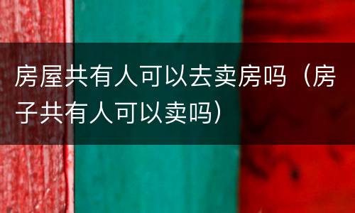 房屋共有人可以去卖房吗（房子共有人可以卖吗）