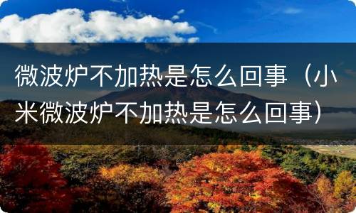 微波炉不加热是怎么回事（小米微波炉不加热是怎么回事）