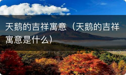 天鹅的吉祥寓意（天鹅的吉祥寓意是什么）