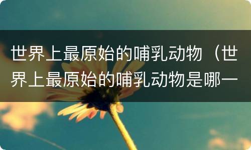 世界上最原始的哺乳动物（世界上最原始的哺乳动物是哪一个）