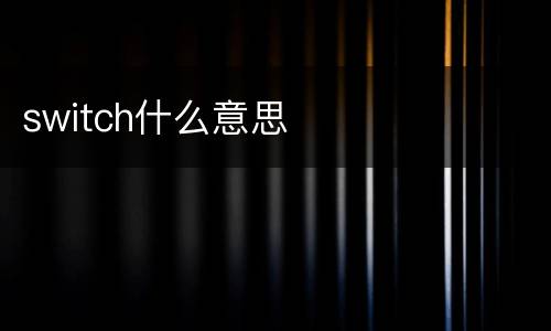 switch什么意思