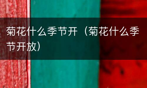 菊花什么季节开（菊花什么季节开放）