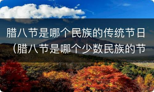腊八节是哪个民族的传统节日（腊八节是哪个少数民族的节日）