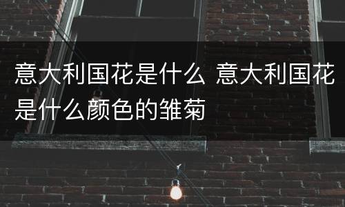 意大利国花是什么 意大利国花是什么颜色的雏菊