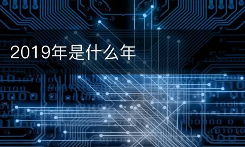 2019年是什么年