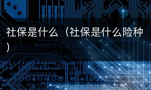 社保是什么（社保是什么险种）