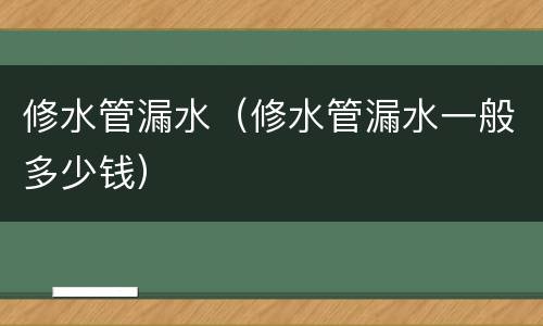 修水管漏水（修水管漏水一般多少钱）