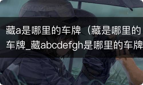 藏a是哪里的车牌（藏是哪里的车牌_藏abcdefgh是哪里的车牌号）