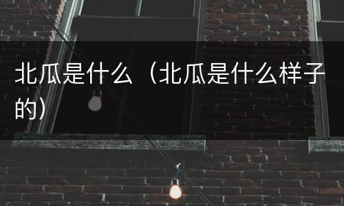 北瓜是什么（北瓜是什么样子的）