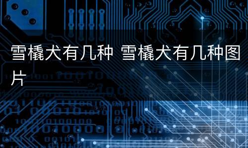 雪橇犬有几种 雪橇犬有几种图片