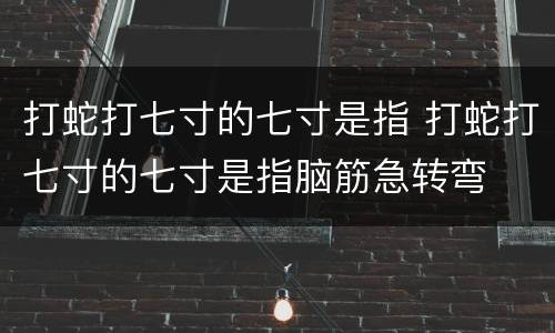 打蛇打七寸的七寸是指 打蛇打七寸的七寸是指脑筋急转弯