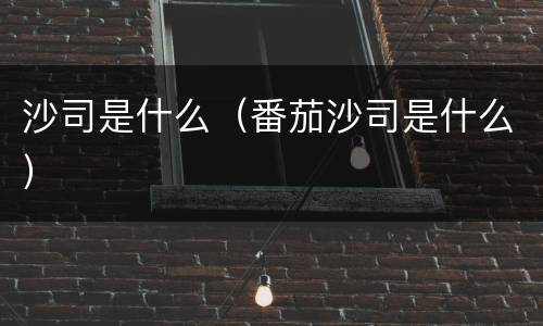 沙司是什么（番茄沙司是什么）