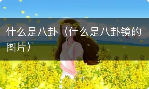什么是八卦（什么是八卦镜的图片）