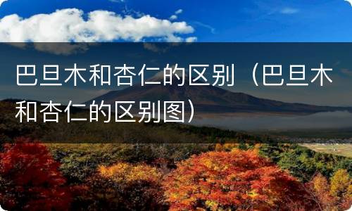 巴旦木和杏仁的区别（巴旦木和杏仁的区别图）