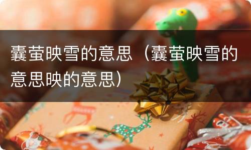 囊萤映雪的意思（囊萤映雪的意思映的意思）