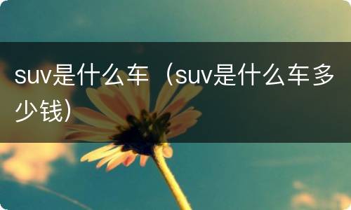 suv是什么车（suv是什么车多少钱）